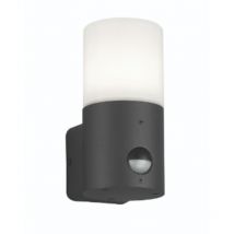 Trio Lighting - Applique murale extérieure anthracite avec détecteur - Trio - Hoosic