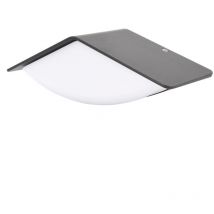 Applique LED extérieure décorative - 8W - 3000K - 560lm - IP65 - 233x80x90mm - Graphite