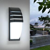 Applique Murale Interieur/Exterieur, Noir 12W 6000K Blanc Froid Appliques Murales LED, IP65 Imperméable Lampe Murale Exterieur pour Cour, Jardin,