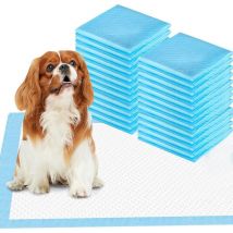 Gotrays - Apprentissage de La propreté pour Chien Ultra Absorbant Tapis de Dressage pour Animaux de Compagnie Tapis Éducateurs pour Chiot et Chat 33