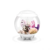 Aquarium décoratif 15l blanc Oase Halo 15 mcr white