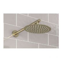 Aquarius - Modern Round Over Head 8 Shower Head & Arm Brushed Brass AQ60102221 - Brushed Brass