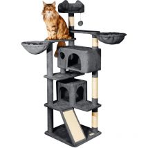 Paitsy - rbol de gato gris oscuro h 165 cm