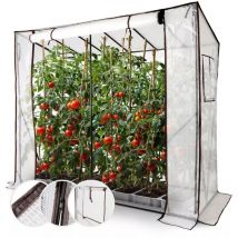 Gewächshaus Tomatengewächshaus 200 cm Treibhaus Frühbeet Foliengewächshaus - Arebos