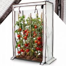 Tomato propagator film propagator tomato house, propagator with roll-up door 100 x 50 x 150 cm cold frame, vegetables, flowers, fruit, garden