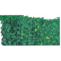 Arelle SemperVerdi Lauro MT. 1.50X20