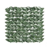 Arelle sempreverdi lauro botton mt 1X20 I Giardini Del Re