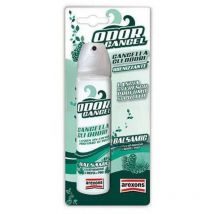 Art.1926 odeur annuler balsamique - Arexons