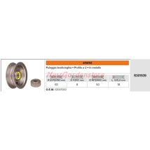 Umlenkrolle für Crossover-Rasentraktor R301939 - Ariens