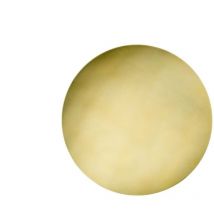 Larissa Lighting - Applique Murale Intérieure led D180 6W Laiton brossé zambelis - Blanc chaud - 3000K