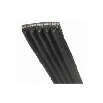 Courroie 1205J5/1208J5 pour lave linge indesit - C00141664