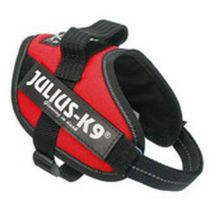 Julius K9 - Julius Arnés Idc Mini Mini Rojo
