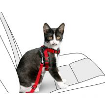 K&f arnés de seguridad gato 15MM rojo