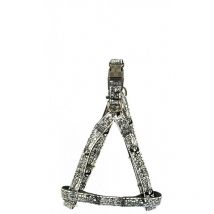 Arnes envy street dog gris 20mm x 46-75cm