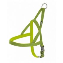 Arnés neopreno pistacho 20mm x 60-71cm