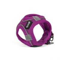 Arnés para perro Gloria trek star 27-28 cm 31-34,6 cm morado xs