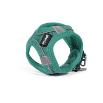 Gloria - Arnés para perro trek star 33,4-35 cm 51-52 cm turquesa l
