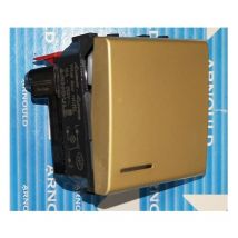 Arnould - 25222 Interruptor Luminoso Oro Satinado - 2 Módulos - S.Living