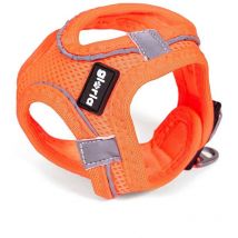 Gloria - Arnés para perro air mesh trek star ajustable naranja talla xxxs (18-20 cm)