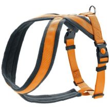 Hunter - Arnés para perro london comfort naranja s/m 52-62 cm