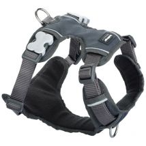 Arnés para perro Red Dingo acolchado l gris