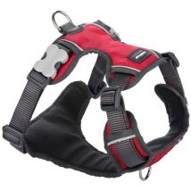 Arnés para perro Red Dingo acolchado rojo talla l