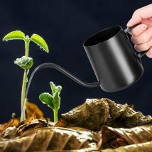 Arrosoir noir 250 ml - petit arrosoir pour plantes d'intérieur - arrosoir à long bec en acier inoxydable - arrosoir de jardin pour plantes