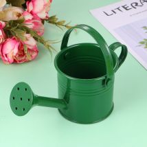 Feiyue - Arrosoir Pot d'eau Seau à fleurs Bouilloire pour plantes Mini enfants Longue bouche Plantes Jardins en acier Arrosoir Pots Miniature