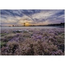Art For The Home - Outdoor Leinwandbilder Lavendel 50x70cm