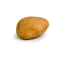 Artemis 100 Plants de pomme de terre