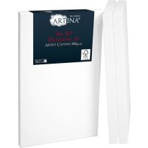 Set da 3 Tele per Pittura Bianche - 100% Cotone, Spessore Alto 3D Premium 380g/m² per dipingere – Tele per pittori – Telaio in Legno FSC Comodo e