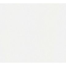 Décoweb - a.s. Création Carta Da Parati Unito Attractive tessuto non tessuto 10.05 m x 0.53 m Bianco Prodotto in Germania 367131 36713-1