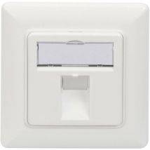 Digitus - DN-93811 support Keystone 1x blanc W389291