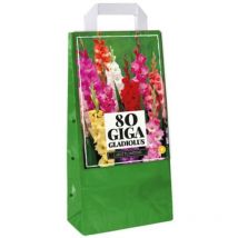 Assortiment 80 bulbes Glaïeuls