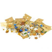 Kemo - assortiment de condensateurs céramiques S007 100 pc(s)