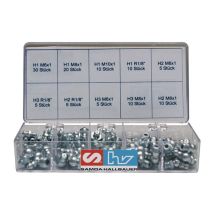 Assortiment de graisseurs 110 pièces – 80298 – Acier zingué brillant – Accessoire d'entretien des outils motorisés – Samoa-Hallbauer