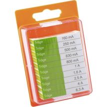 Assortiment de micro-fusibles ESKA 122.0.8 (Ø x L) 5 mm x 20 mm temporisé -T- 100 pc(s)