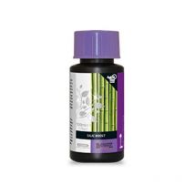 B'Cuzz Silic Boost 100Ml Fr - Atami