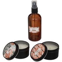 Set parfumé : 2 bougies, spray d'ambiance, 100 ml