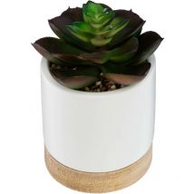 Succulente artificielle pot céramique H12cm Atmosphera Créateur D'intérieur