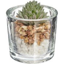 Plante artificielle H10cm Atmosphera Créateur D'intérieur