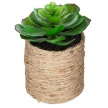 Plante artificielle H16cm Atmosphera Créateur D'intérieur