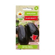 Aubergine Aubergine Black Beauty graines de légumes