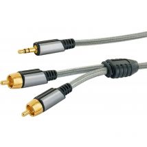 Ainstein 3,5 mm Klinke/Cinch Aux Adapterkabel 1,0m, Klinkenstecker 2x Cinch Stecker