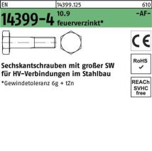 Sechskantschraube En 14399-4 M22x 90 10.9 Feuerverz. 1 Stück Friedberg