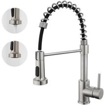 Auralum - Rubinetto da Cucina Estraibile in acciaio, Girevole a 360 monocomando per lavello con 2 modi 2 ugelli e tubo, Rubinetto Cucina dell'acqua