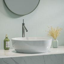 Auralum Rubinetto Lavabo con Becco Alto en Acciaio Inossidabile, Miscelatore Monocomando per Bagno, con aeratore estraibile