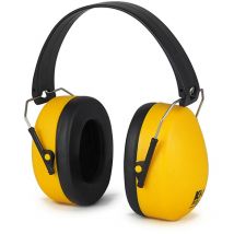 Auricular profesional