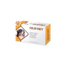 Aurora Biofarma - Dog & Cat Silifort Dog & Cat Silifort - Confezione Da 30 Compresse