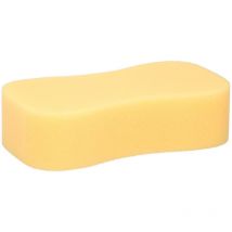 Ponge de lavage de voiture